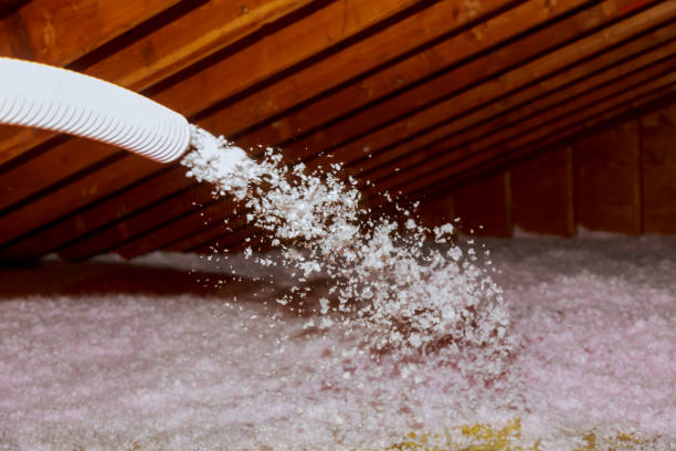 Reliable Lauderhill, FL Insulation Installation & Removal Solutions