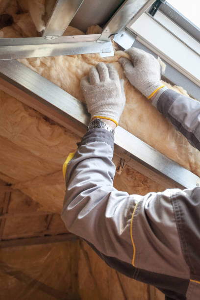 Best Soundproof Insulation  in Lauderhill, FL